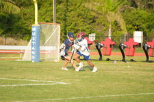Enlarge photo 172