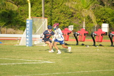Enlarge photo 173
