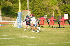 Enlarge photo 174