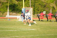 Enlarge photo 176