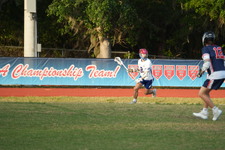 Enlarge photo 213