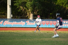 Enlarge photo 215
