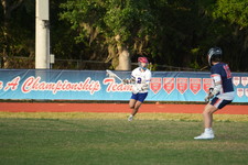 Enlarge photo 216