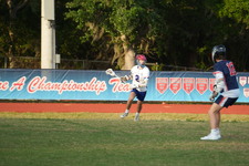Enlarge photo 217