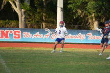 Enlarge photo 225