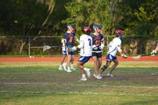 Enlarge photo 235