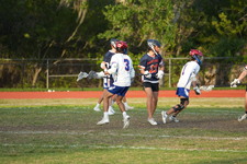 Enlarge photo 236