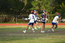 Enlarge photo 237