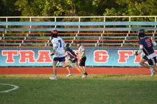 Enlarge photo 240