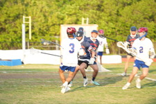 Enlarge photo 269