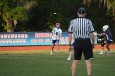 Enlarge photo 279