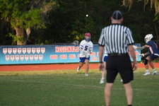 Enlarge photo 278