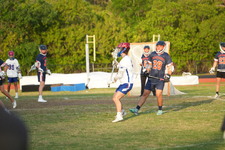 Enlarge photo 289
