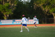 Enlarge photo 299