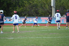 Enlarge photo 314