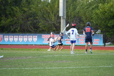 Enlarge photo 319
