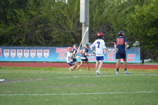Enlarge photo 318