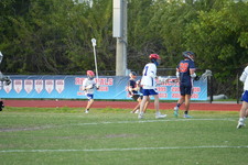 Enlarge photo 323