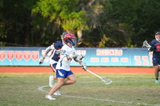 Enlarge photo 336