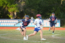 Enlarge photo 339