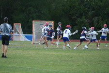 Enlarge photo 375