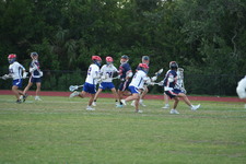Enlarge photo 381
