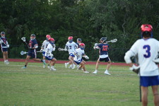 Enlarge photo 385