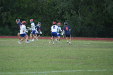 Enlarge photo 425