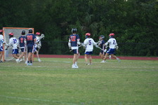 Enlarge photo 442