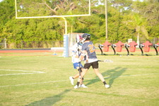 Enlarge photo 495