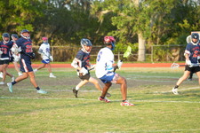 Enlarge photo 517