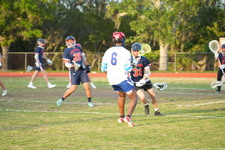 Enlarge photo 522