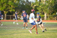 Enlarge photo 523