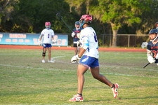 Enlarge photo 529