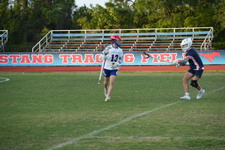 Enlarge photo 579