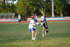 Enlarge photo 595