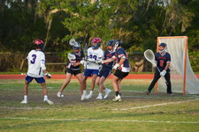 Enlarge photo 619