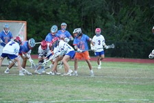 Enlarge photo 177