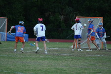 Enlarge photo 240