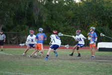 Enlarge photo 253