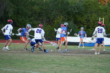 Enlarge photo 259
