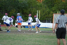 Enlarge photo 260