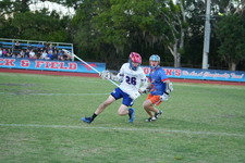 Enlarge photo 279