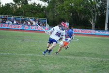 Enlarge photo 282