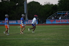 Enlarge photo 299