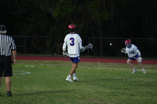 Enlarge photo 305