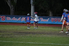 Enlarge photo 314
