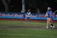 Enlarge photo 316