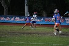 Enlarge photo 317