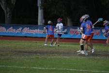 Enlarge photo 318